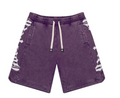 GODSPEED COURTSIDE GRAPE PURPLE SHORTS